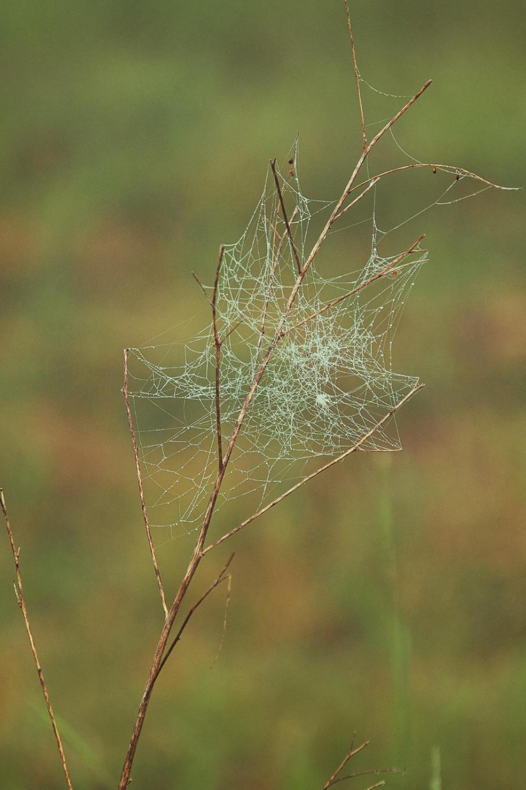 Vecvanagi Jaunmuiza Esterno foto